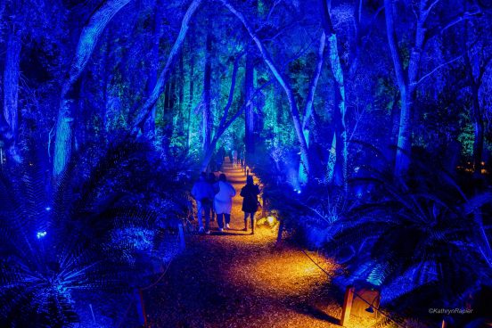 Descanso Gardens Immersive Lighting Environment
